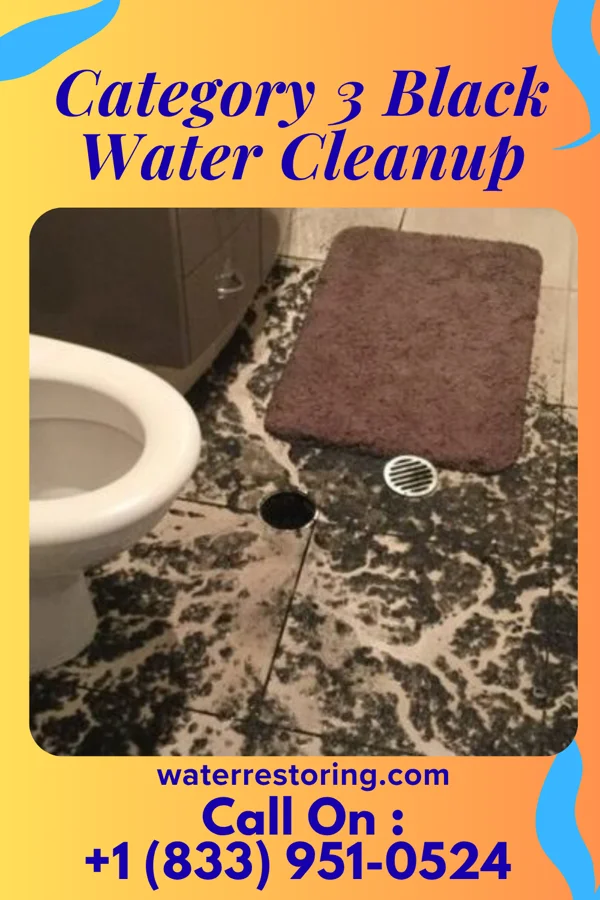Category 3 Black Water Cleanup in Fort Hill, OR