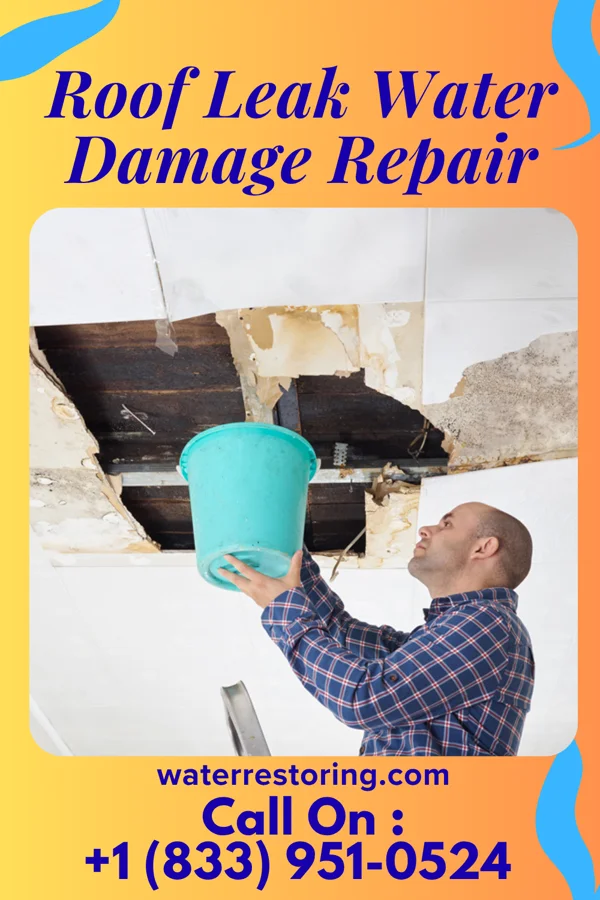 Roof Leak Water Damage Repair in Fort Hill, OR